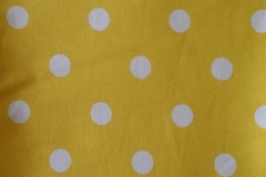 Penny-Spot-Yellow